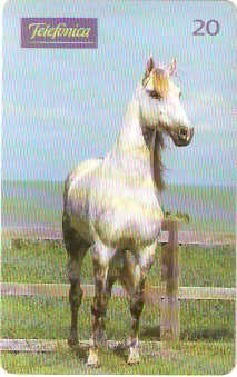 SP-0195M - Andaluz é Potência